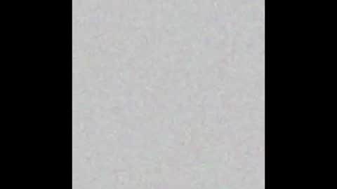 Timmy online show from October 31, 2025, 12:28 pm