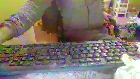 pup_y online show from December 22, 2025, 6:49 pm