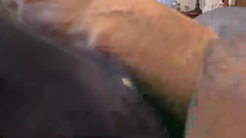 Snapshot of purdyguy7777 chatting on February 24, 2026, 2:15 pm purdyguy7777 online show from February 24, 2026, 2:15 pm