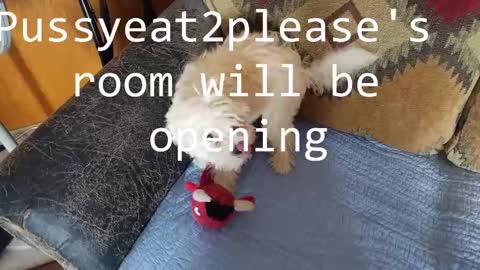 Rick online show from February 23, 2025, 10:39 am