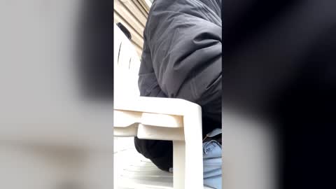 pyrex8 online show from January 7, 2026, 2:41 pm