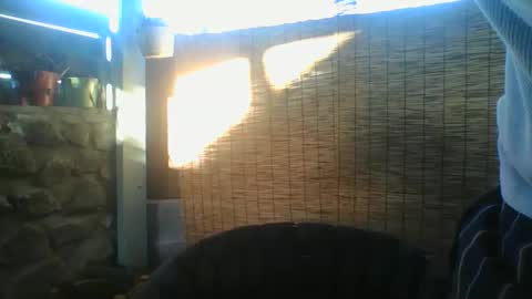 Snapshot of python974 chatting on May 17, 2026, 3:26 am Python online show from May 17, 2026, 3:26 am
