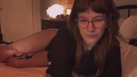 Snapshot of quack__quack chatting on March 5, 2025, 3:29 pm online show from March 5, 2025, 3:29 pm