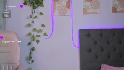    online show from February 20, 2026, 8:53 pm