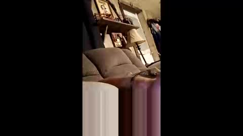 qwcipudorthw online show from April 7, 2026, 5:30 am