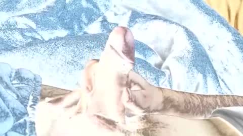 rabo_rico online show from February 26, 2026, 10:14 am