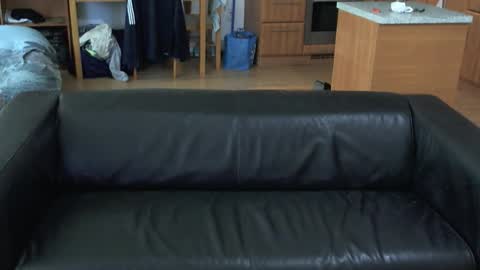 rafaelosteel online show from November 5, 2025, 3:56 pm