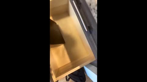 Rainbow Randolf online show from November 22, 2025, 7:57 pm