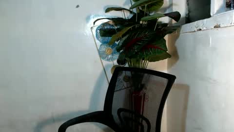 Snapshot of ralfhuge24 chatting on September 16, 2025, 6:42 pm ralfhuge24 online show from September 16, 2025, 6:42 pm