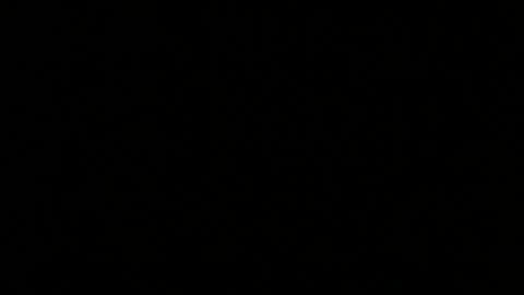 ram_45 online show from August 9, 2026, 11:31 pm