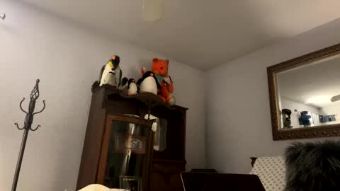    RAMONA Q   online show from December 4, 2025, 8:56 am