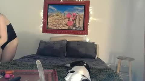    RAMONA Q   online show from April 14, 2026, 8:42 am