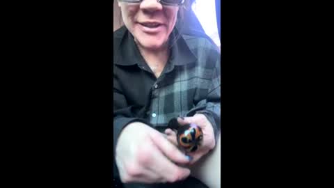 Raven Ray online show from February 9, 2026, 4:22 pm