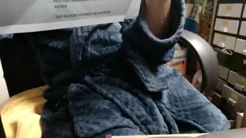 Ray online show from November 23, 2025, 3:39 am