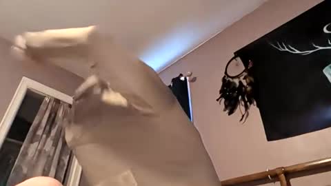 raziebaby online show from April 27, 2026, 2:15 pm