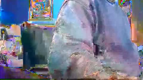 rb69er905364 online show from December 28, 2024, 4:52 pm