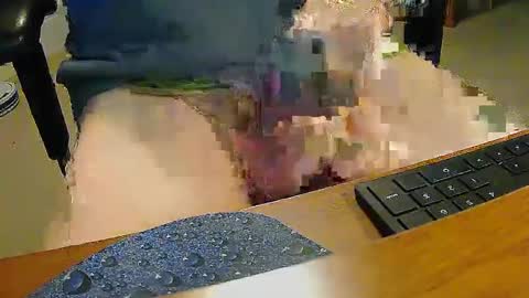 rb69er905364 online show from January 8, 2025, 6:31 pm