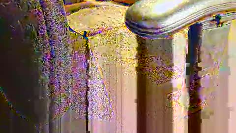 rb69er905364 online show from September 10, 2025, 6:30 pm