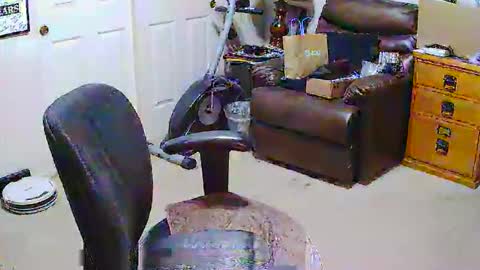 rb69er905364 online show from March 28, 2026, 6:40 pm