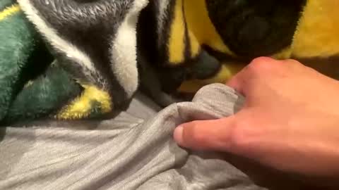 Snapshot of realbigload77 chatting on September 20, 2025, 2:23 am realbigload77 online show from September 20, 2025, 2:23 am