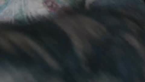 realrubpirate online show from January 18, 2026, 9:46 am