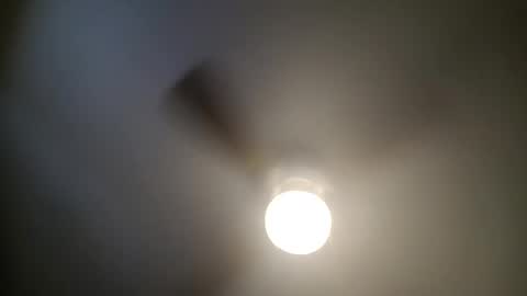 red24devils online show from January 13, 2025, 5:44 pm