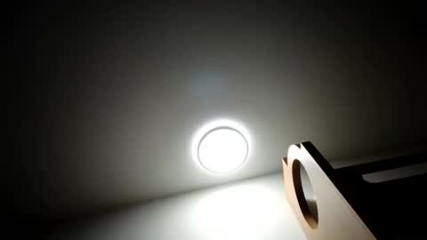 Lenae Redd online show from March 28, 2026, 3:39 am