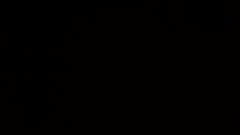 remus60 online show from January 5, 2025, 10:50 pm