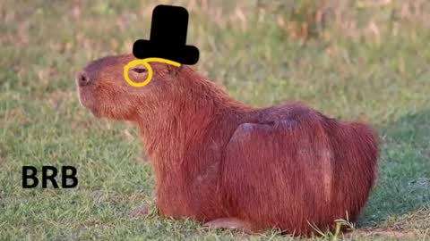 Chris online show from February 16, 2026, 7:21 pm