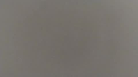 reza240782 online show from September 24, 2025, 11:13 am