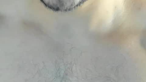 ricardogonzalez666 online show from December 10, 2024, 4:24 am