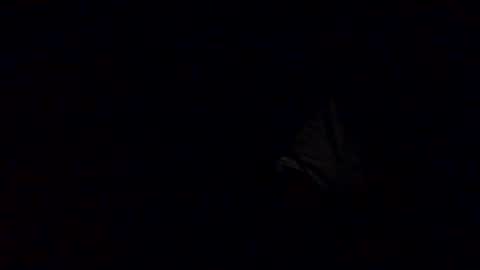 Snapshot of richardsone1 chatting on October 12, 2025, 3:27 am Babu online show from October 12, 2025, 3:27 am