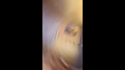 Gunman online show from February 15, 2026, 10:50 pm