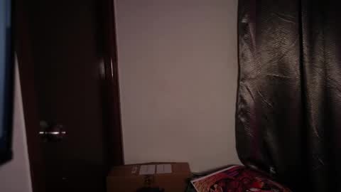 Snapshot of riniryokouwu chatting on October 28, 2025, 10:45 pm    online show from October 28, 2025, 10:45 pm