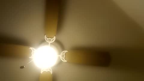 Snapshot of robertsaiz4200 chatting on December 20, 2025, 8:49 pm robertsaiz4200 online show from December 20, 2025, 8:49 pm