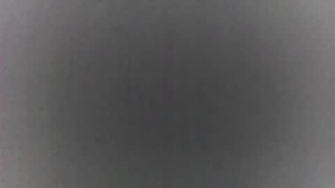 roberttocumcum online show from February 19, 2026, 9:11 pm