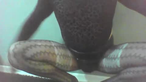 roberttocumcum online show from February 23, 2026, 12:30 am