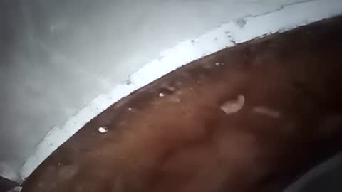 R online show from October 5, 2025, 1:04 am