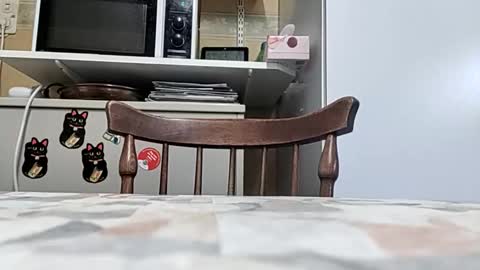 robke1966 online show from March 24, 2026, 6:51 am