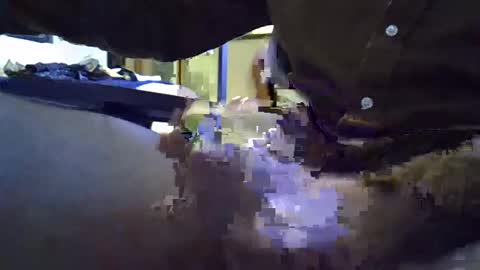 rocco981980 online show from January 8, 2025, 12:06 am