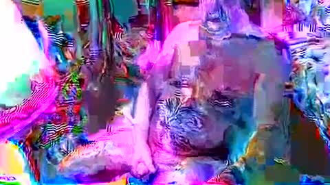 Snapshot of rocky082288 chatting on December 8, 2024, 12:41 pm rocky082288 online show from December 8, 2024, 12:41 pm