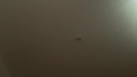 rogue1st222 online show from February 3, 2025, 6:17 pm