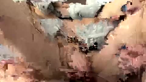 Snapshot of roidrager44 chatting on March 6, 2025, 3:45 pm roidrager44 online show from March 6, 2025, 3:45 pm