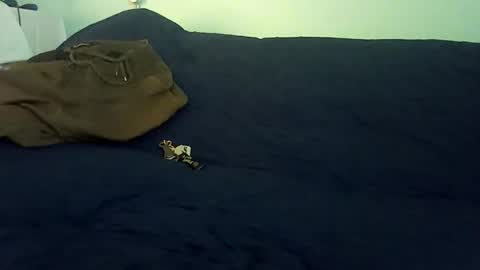 Mr. Red online show from February 25, 2026, 10:19 pm