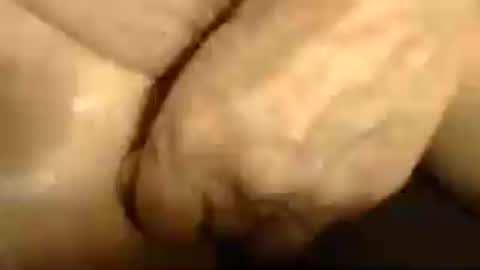 romantiko9 online show from June 13, 2026, 5:33 pm