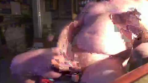 Snapshot of ronnybeee chatting on March 20, 2026, 7:24 am ronnybeee online show from March 20, 2026, 7:24 am