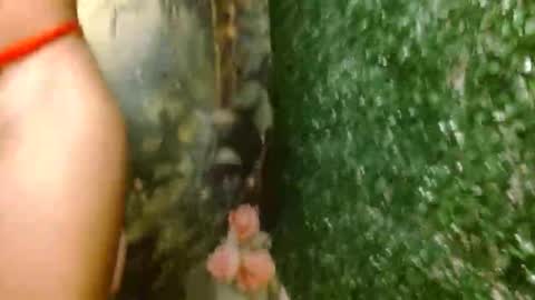 Snapshot of rosa_skinny chatting on April 18, 2026, 2:59 am rosa online show from April 18, 2026, 2:59 am