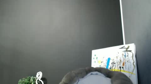 Rosalina online show from November 24, 2025, 2:28 pm