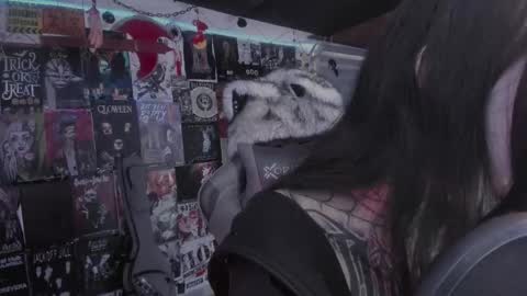 Snapshot of rotten_dreams chatting on March 1, 2026, 6:10 pm rot online show from March 1, 2026, 6:10 pm