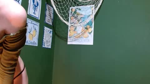 Roxie online show from September 26, 2025, 2:26 am